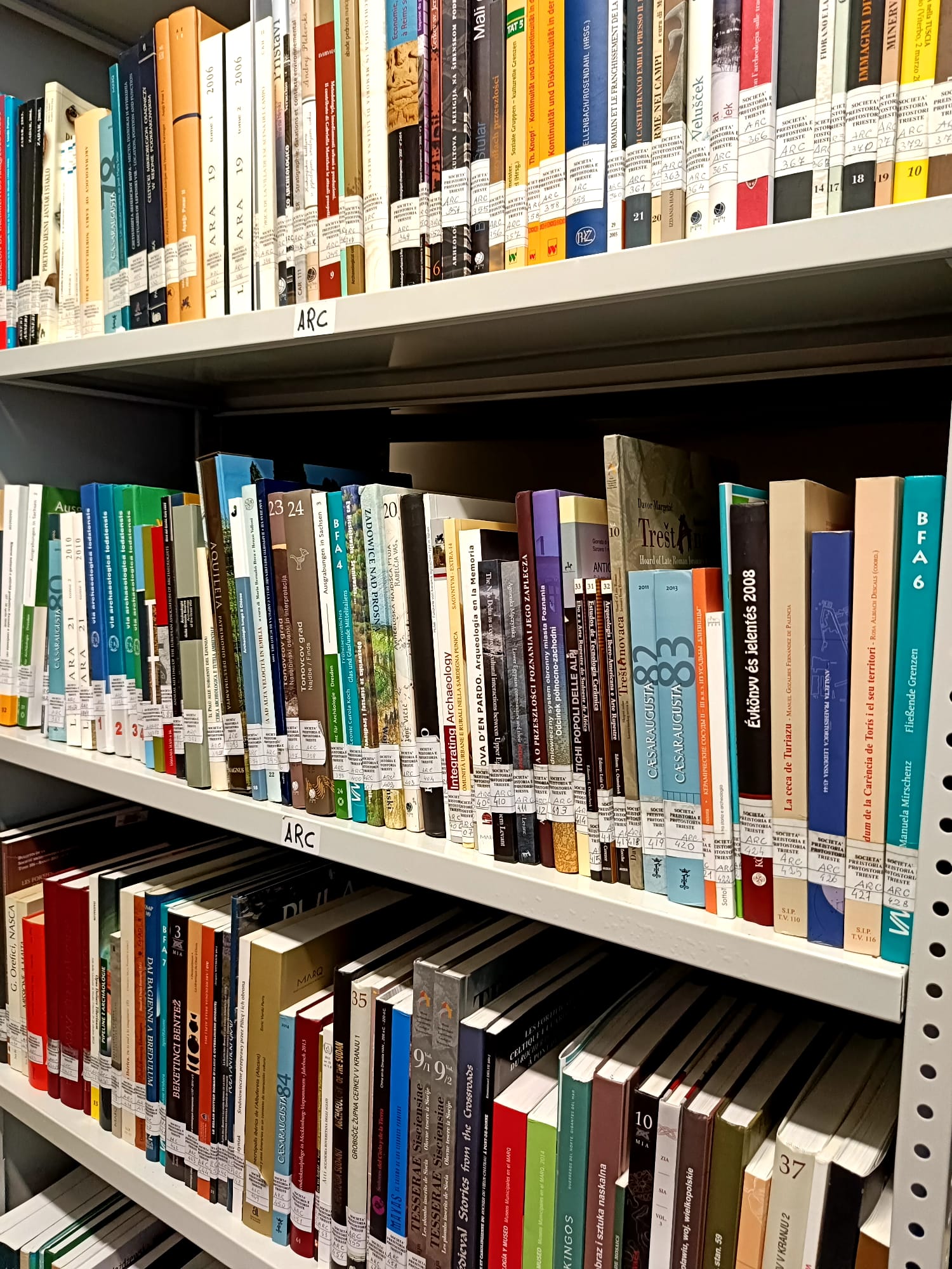 Biblioteca della Società per la Preistoria e la Protostoria della Regione Friuli Venezia Giulia